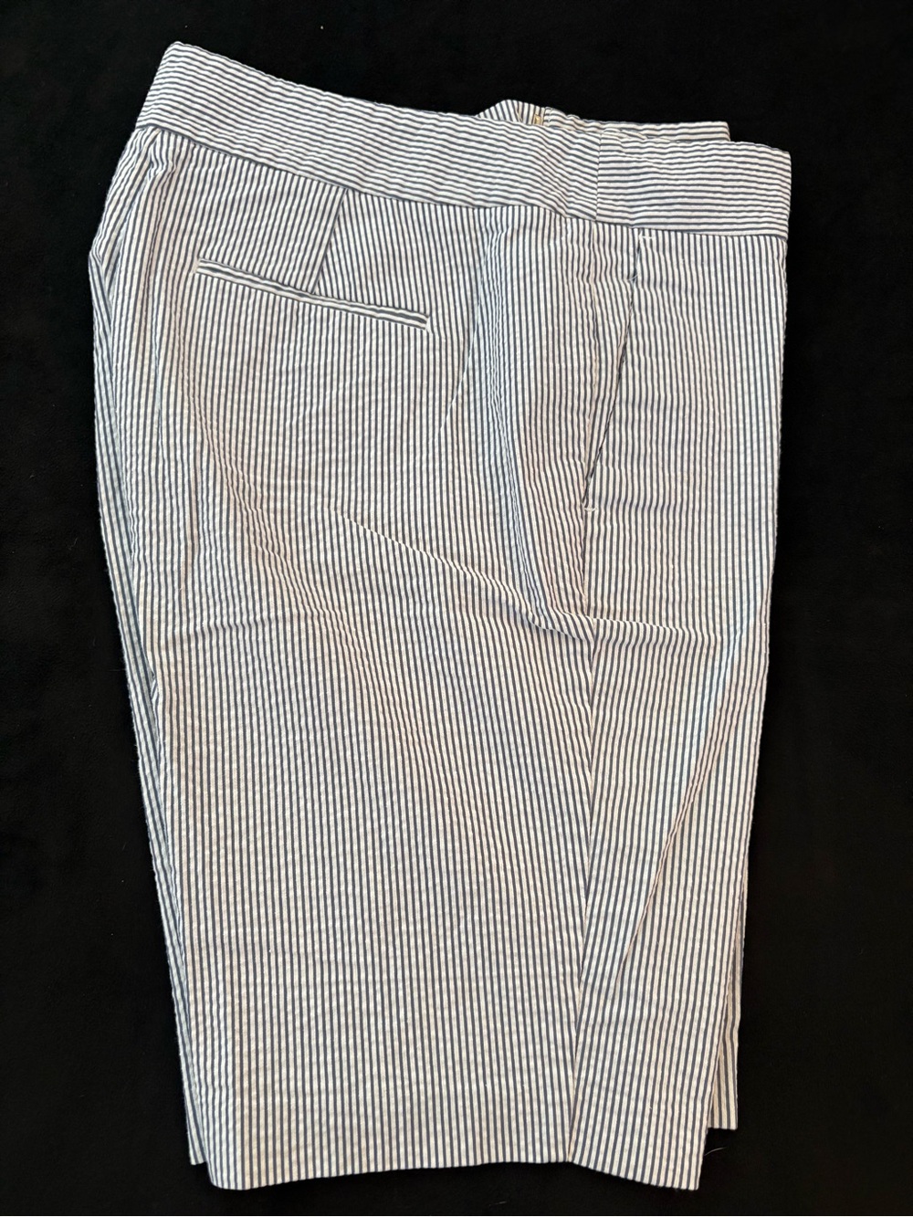 Ann Taylor Navy & White Striped Shorts